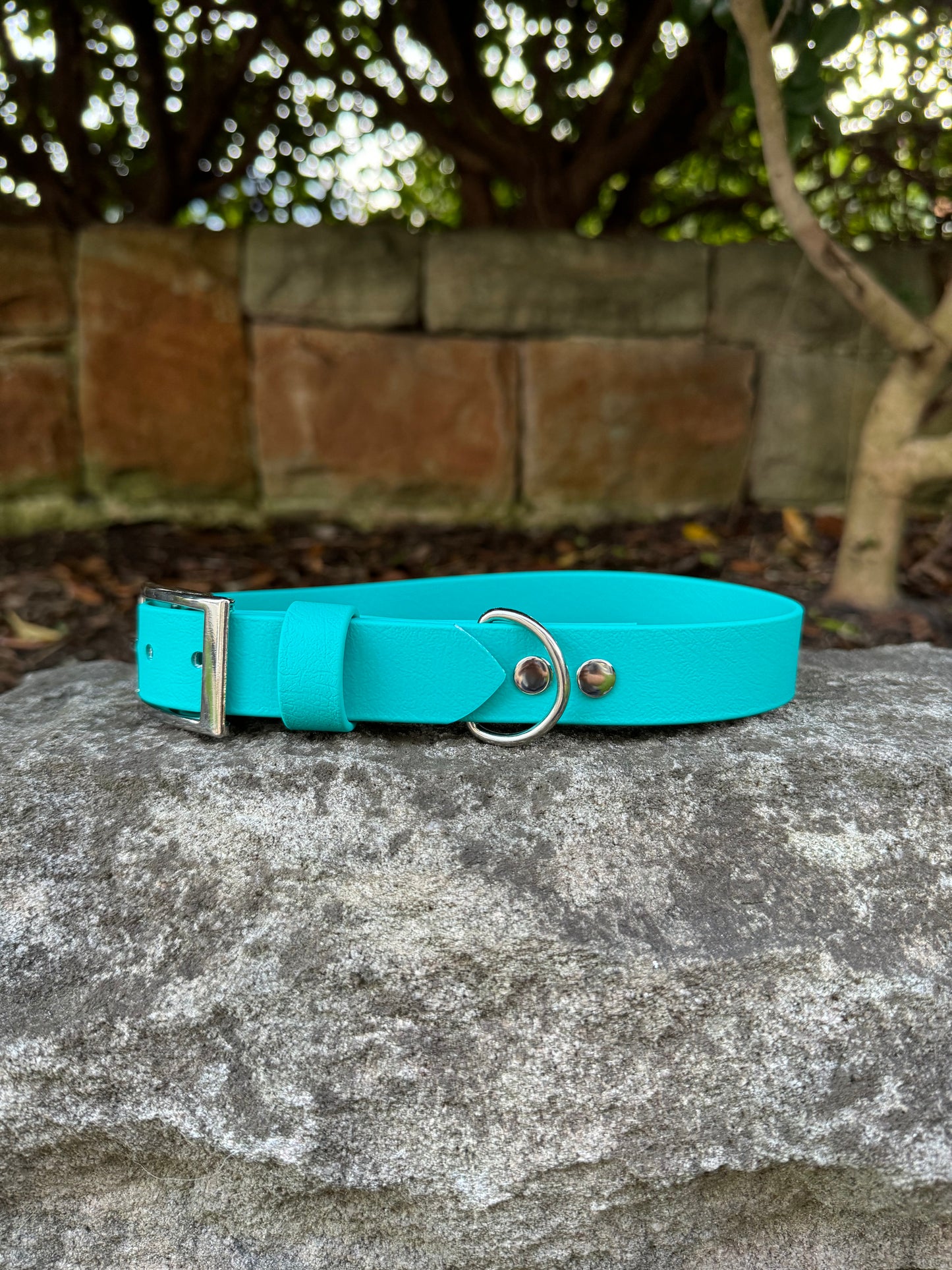 Biothane Collar - Turquoise