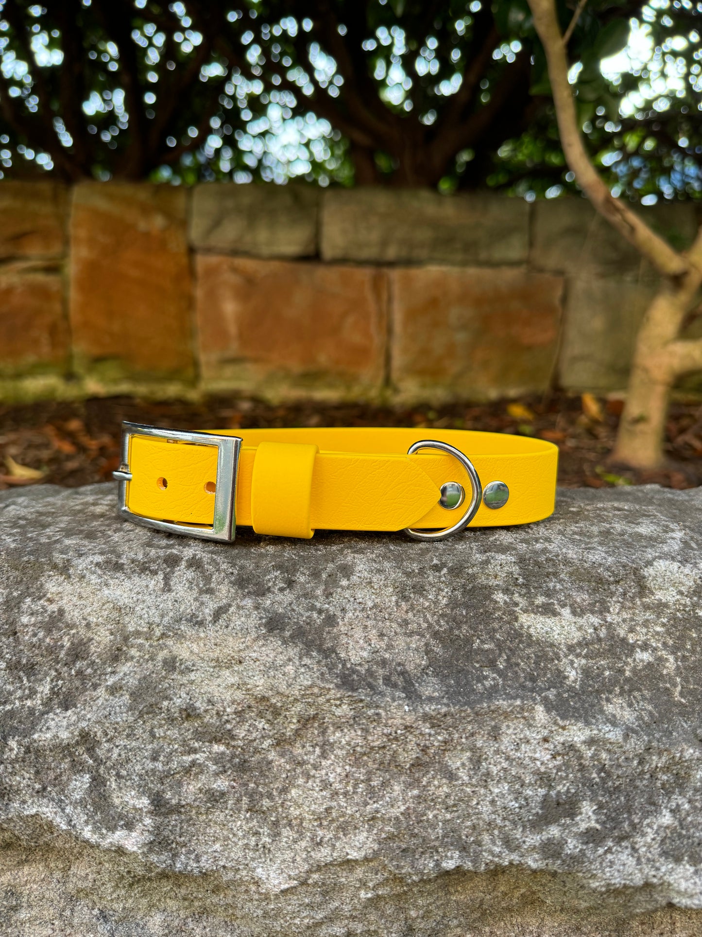 Biothane Collar - Yellow